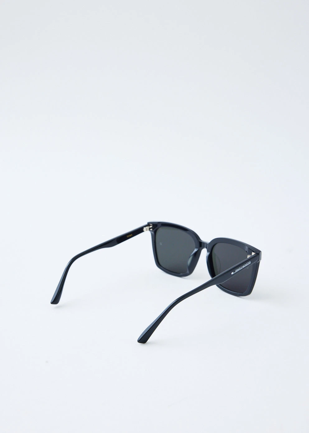 TEGA-01 Sunglasses 3 TEGA-01 Sunglasses - Image 3
